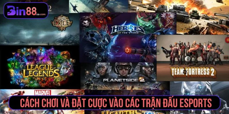 Trải nghiệm thật khi cá cược thể thao điện tử online Tham khảo cách đặt cược thể thao điện tử