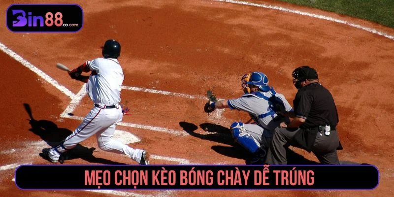 Trải nghiệm thật khi tham gia cá cược bóng chày online Gợi ý các mẹo cá cược bóng chày hiệu quả