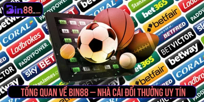 Bin88 - Cổng Game Đổi Thưởng Uy Tín – Thắng Lớn Nhận 88K Thông tin về nhà cái Bin88