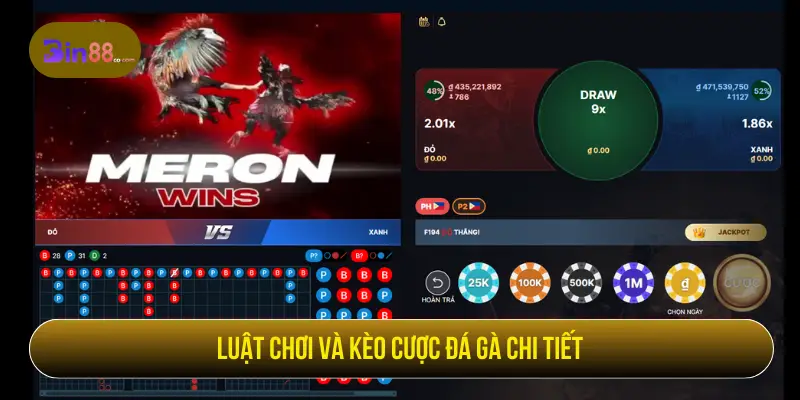 Đá Gà 79 – Trực Tiếp Trận Đấu, Cược Thắng Ngay Luật chơi và kèo cược đá gà chi tiết