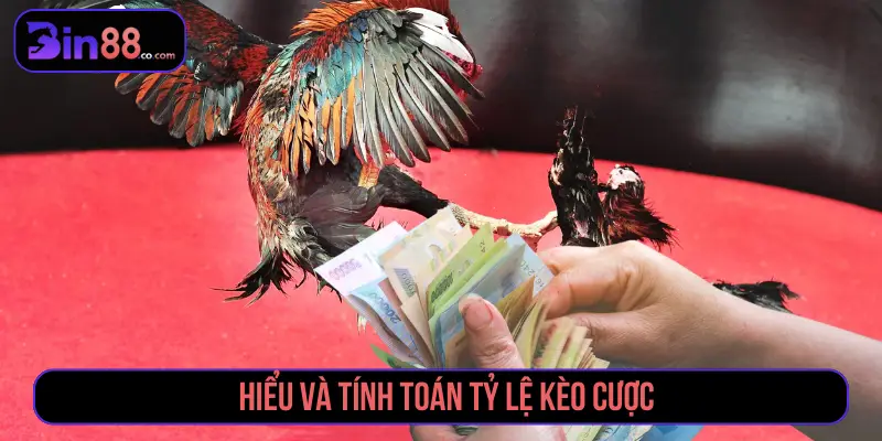Cách Đặt Cược Đá Gà Chuẩn Xác Thắng Nhanh Tại BIN88 Hiểu và tính toán tỷ lệ kèo cược